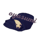 DORY IS CHIHUAHUA（個別スタンプ：11）