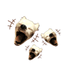 DORY IS CHIHUAHUA（個別スタンプ：12）
