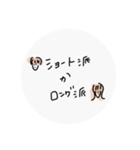 2択まるスタンプ○（個別スタンプ：2）