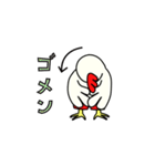 とりっこたろう（個別スタンプ：5）