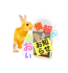うさぎのせつめいやさん 友愛のスタンプ（個別スタンプ：2）