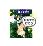 うさぎのせつめいやさん 友愛のスタンプ（個別スタンプ：15）