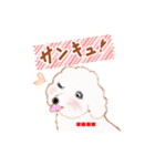 ハレルキの犬のマロン カスタムスタンプ（個別スタンプ：30）