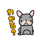 polka.Su*tamp48～アイアムFB❗～（個別スタンプ：5）