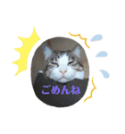 岡崎キキ（個別スタンプ：5）