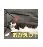 岡崎キキ（個別スタンプ：16）