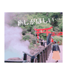 People photo in kyushu.（個別スタンプ：12）