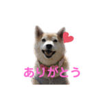スマイル★さくらちゃん（個別スタンプ：4）
