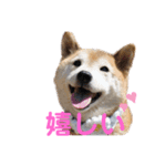 スマイル★さくらちゃん（個別スタンプ：6）