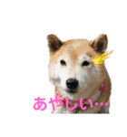 スマイル★さくらちゃん（個別スタンプ：7）