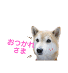 スマイル★さくらちゃん（個別スタンプ：10）
