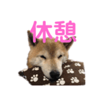 スマイル★さくらちゃん（個別スタンプ：22）