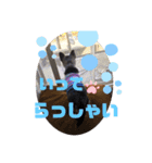 チワワのココロくん♥️（個別スタンプ：3）