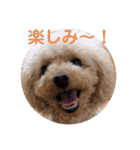 ぼく、福丸です。その5（個別スタンプ：1）