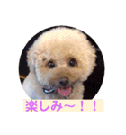 ぼく、福丸です。その5（個別スタンプ：5）