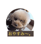 ぼく、福丸です。その5（個別スタンプ：12）