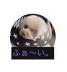 ぼく、福丸です。その5（個別スタンプ：14）