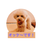 ぼく、福丸です。その5（個別スタンプ：15）
