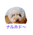 ぼく、福丸です。その5（個別スタンプ：18）