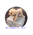 ぼく、福丸です。その5（個別スタンプ：20）