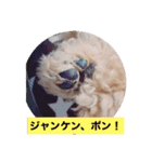ぼく、福丸です。その5（個別スタンプ：25）