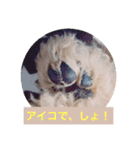ぼく、福丸です。その5（個別スタンプ：26）