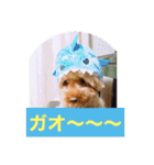 ぼく、福丸です。その5（個別スタンプ：27）