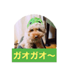 ぼく、福丸です。その5（個別スタンプ：28）