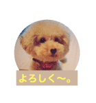ぼく、福丸です。その5（個別スタンプ：29）