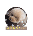 ぼく、福丸です。その5（個別スタンプ：30）