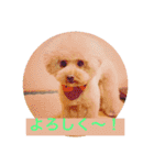 ぼく、福丸です。その5（個別スタンプ：31）