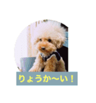 ぼく、福丸です。その5（個別スタンプ：33）