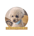 ぼく、福丸です。その5（個別スタンプ：34）