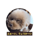 ぼく、福丸です。その5（個別スタンプ：36）