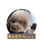 ぼく、福丸です。その5（個別スタンプ：40）