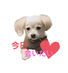 ちくわの日常 Ver.2（個別スタンプ：1）