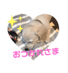 ちくわの日常 Ver.2（個別スタンプ：2）
