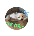 ちくわの日常 Ver.2（個別スタンプ：3）