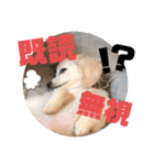 ちくわの日常 Ver.2（個別スタンプ：6）
