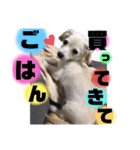 ちくわの日常 Ver.2（個別スタンプ：11）