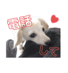 ちくわの日常 Ver.2（個別スタンプ：14）