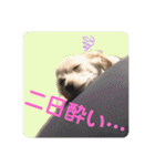 ちくわの日常 Ver.2（個別スタンプ：16）