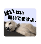 ちくわの日常 Ver.2（個別スタンプ：17）