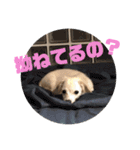 ちくわの日常 Ver.2（個別スタンプ：18）