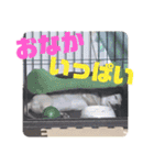 ちくわの日常 Ver.2（個別スタンプ：20）