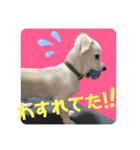ちくわの日常 Ver.2（個別スタンプ：23）