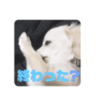 ちくわの日常 Ver.2（個別スタンプ：24）