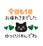 大人かわいい毎日使いたくなる黒猫長文（個別スタンプ：17）