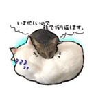 しろねこと愉快な仲間たち（個別スタンプ：8）