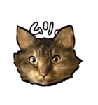しろねこと愉快な仲間たち（個別スタンプ：18）